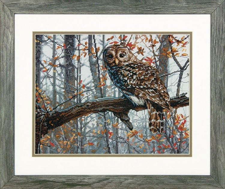 Набор для вышивания Dimensions 70-35311 Wise Owl (Мудрая сова)