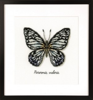 Vervaco PN-0165403 Голубая бабочка
