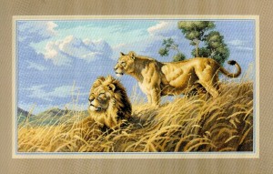 Dimensions 03866 African Lions (Африканские львы)