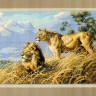 Набор для вышивания Dimensions 03866 African Lions