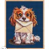 Набор для вышивания Collection D'Art BC8123 Сюрприз для тебя