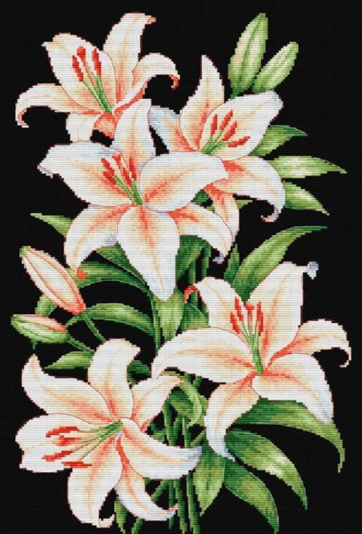 Многоцветница МКН 177-14 Белое на черном. Лилии