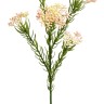 Fiebiger Floristik 206160-230 Ветка декоративная "Рисовый цветок"