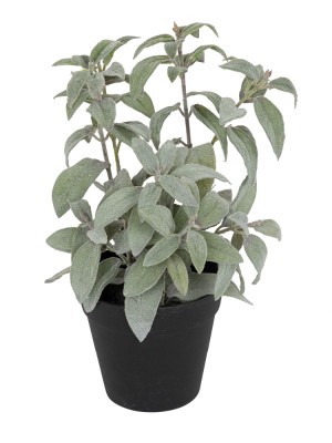 Fiebiger Floristik 106231-801 Цветок декоративный в кашпо "Шалфей"