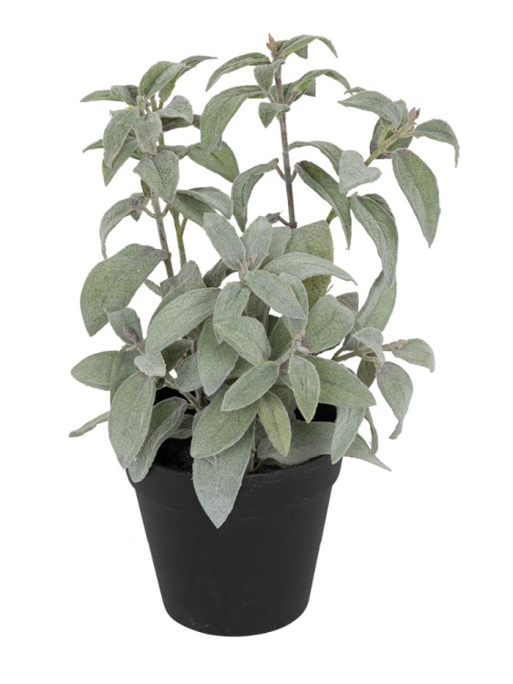 Fiebiger Floristik 106231-801 Цветок декоративный в кашпо "Шалфей"