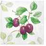 PAW Decor Collection SDL124800 Салфетка трехслойная для декупажа "Садовая слива"
