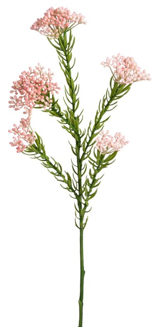 Fiebiger Floristik 206160-400 Ветка декоративная "Рисовый цветок"