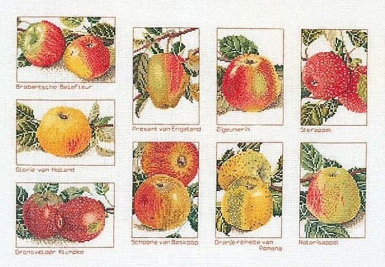 Thea Gouverneur 2082 Apples (Яблоки)