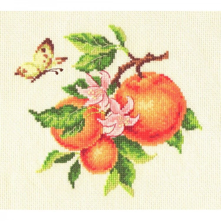 Набор для вышивания Многоцветница МКН 25-14 Ветка апельсина