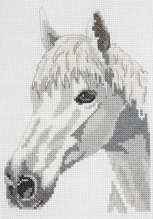 Набор для вышивания Anchor AK140 White Beauty - Horse