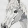 Набор для вышивания Anchor AK140 White Beauty - Horse