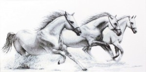 Luca-S B495 Белые лошади