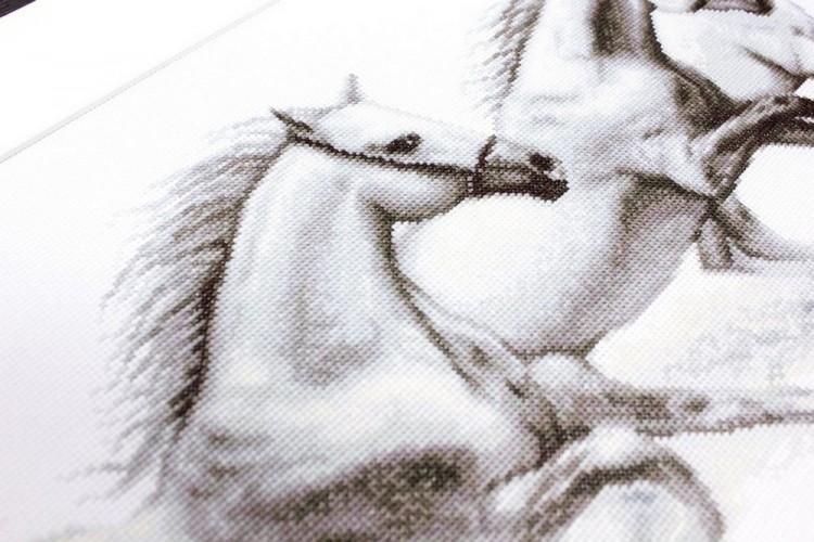 Luca-S B495 Белые лошади