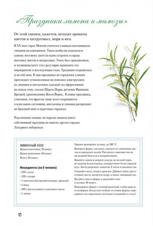 Французская вышивка крестом. Праздники и традиции Франции. 20 удивительных дизайнов Вероник Ажинер