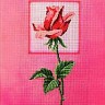 Набор для вышивания Schaefer 593/3 Роза
