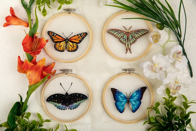 Набор для вышивания Панна JK-2235 Бабочка Морфо адонис