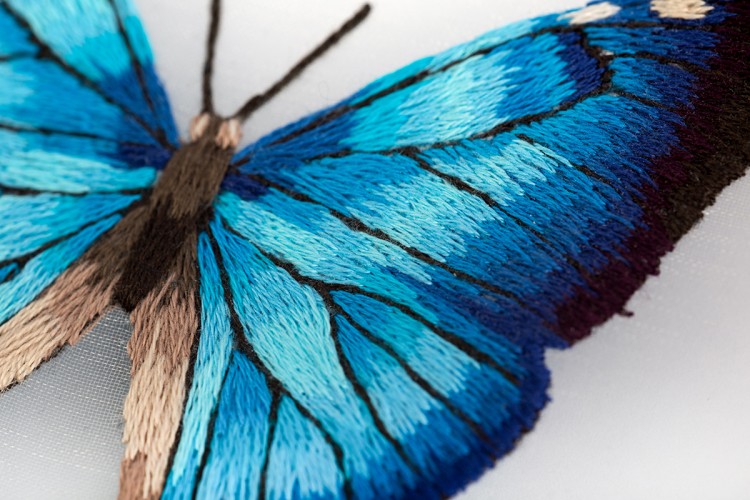 Набор для вышивания Панна JK-2235 Бабочка Морфо адонис