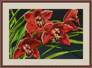 Galla Collection Л313 Орхидеи