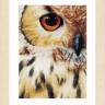 Набор для вышивания Lanarte PN-0157518 Owl