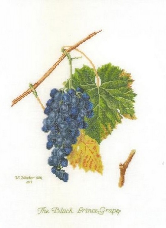 Набор для вышивания Thea Gouverneur 2086 Grapes (Виноград)