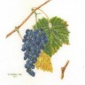 Набор для вышивания Thea Gouverneur 2086 Grapes (Виноград)