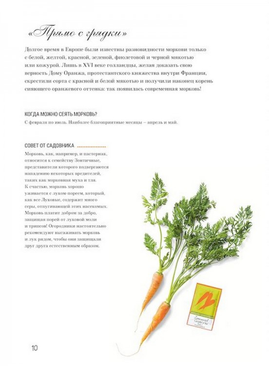 Французская вышивка крестом. Любимый огород. Вероник Ажинер