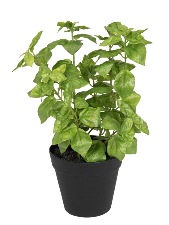 Fiebiger Floristik 106311-800 Цветок декоративный в кашпо "Базилик"