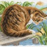 Матренин Посад 1688 Любопытный котенок