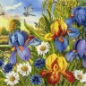 Каролинка КЛ(Н)-3060 Лето. Ирисы