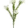 Fiebiger Floristik 206160-100 Ветка декоративная "Рисовый цветок"