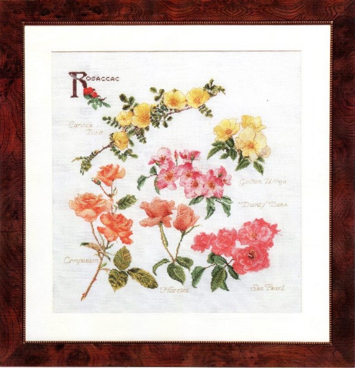Набор для вышивания Thea Gouverneur 3066 Rose Panel