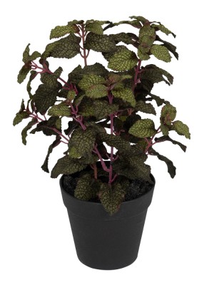 Fiebiger Floristik 106281-855 Цветок декоративный в кашпо "Мята"