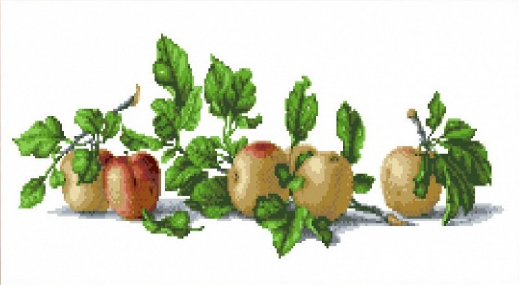 Набор для вышивания Каролинка КТКН 133 (Р) Натюрморт с яблоками