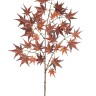 Fiebiger Floristik 109210-552 Ветка декоративная "Клен"