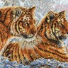 Набор для вышивания Белоснежка 2333-14 Амурские тигры