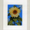 Набор для вышивания Lanarte PN-0008114 Sunflower on blue