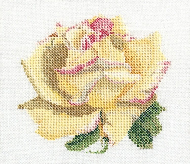 Thea Gouverneur 3076A Rose B (Роза)