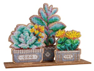 Щепка О-160 Сад суккулентов