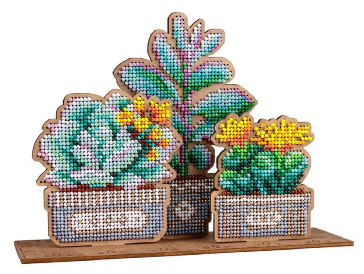 Набор для вышивания Щепка О-160 Сад суккулентов