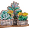 Набор для вышивания Щепка О-160 Сад суккулентов
